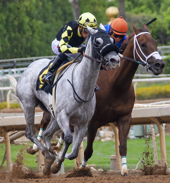 黑的穩定壓 黑的穩定壓