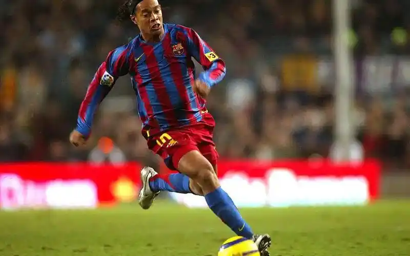 育的引领者 育的引领者