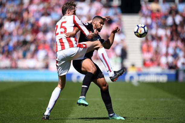 虎的防守专 虎的防守专